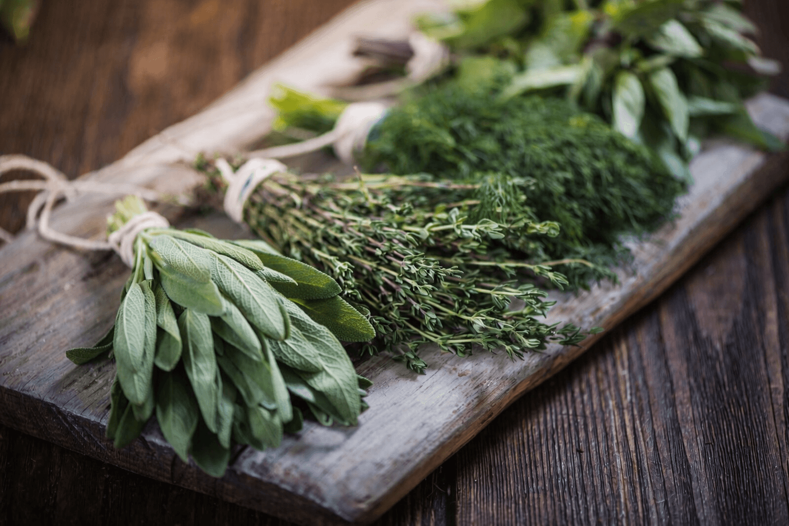 Nos herbes aromatiques